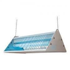 insectenverdelger haccp