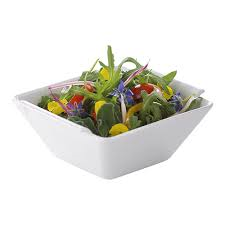 Schaal (vierkant) merk REVOL